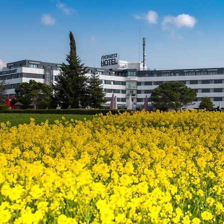 Everness & シャヴァンヌ・ド・ボジ